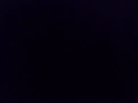nastyP1 webcam