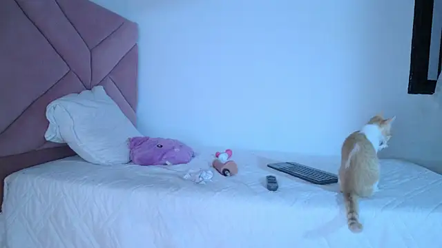 eva_sin18 webcam