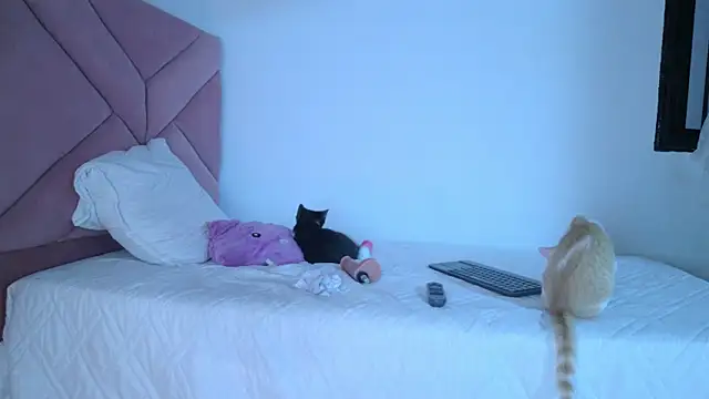 eva_sin18 webcam