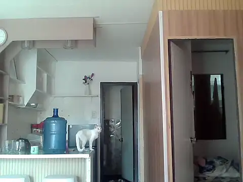 bigcockkyla webcam