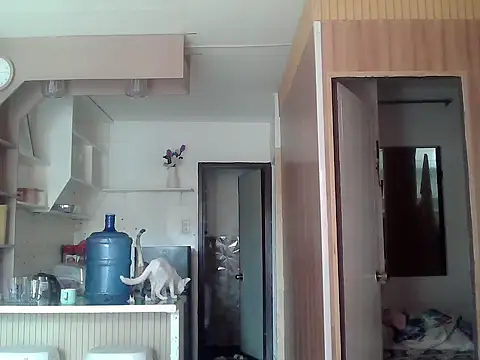 bigcockkyla webcam