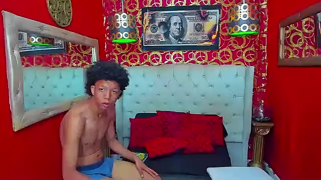 PEINBOYS webcam