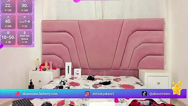 mitzukywinteer webcam