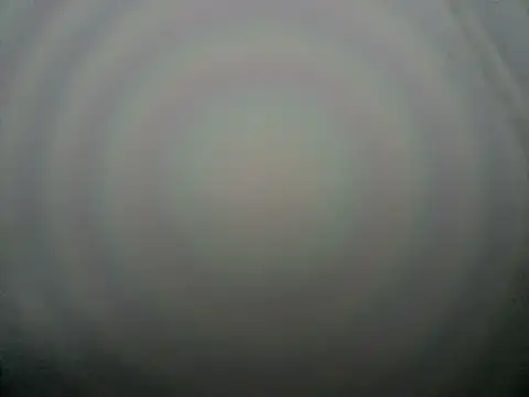 tom_latin webcam