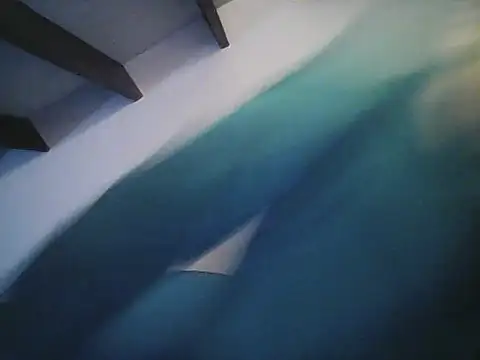 elkike1980 webcam
