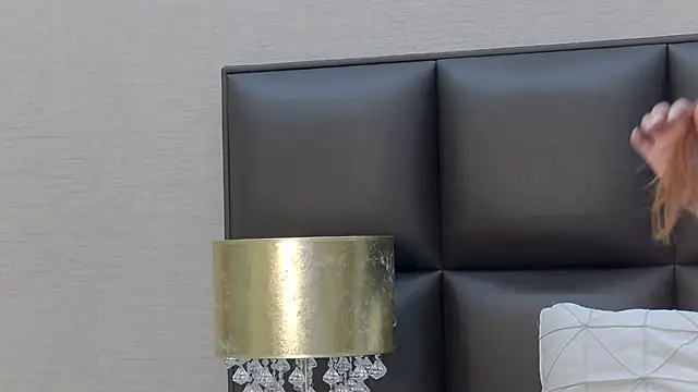 FoxyJoy webcam