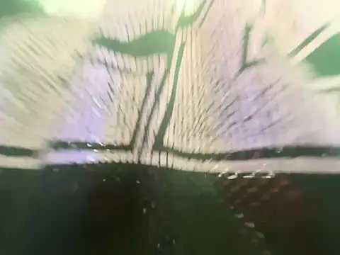 bigdickkane300 webcam