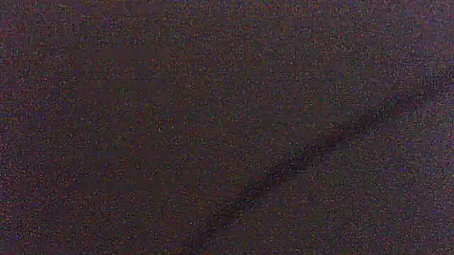pietje1991 webcam