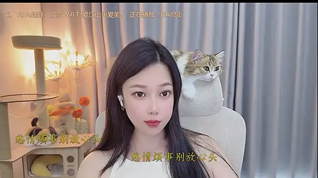 facai-feifei webcam