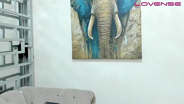 Chirs_Arthus webcam
