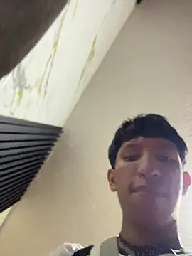 Noah-fire webcam