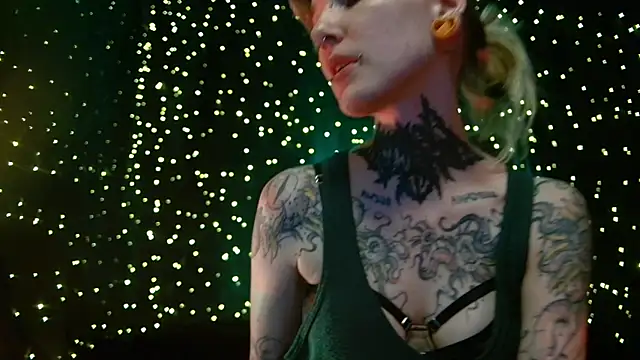Littlespacemouse webcam
