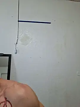 Paidbat webcam