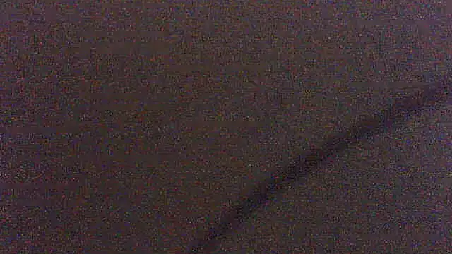 pietje1991 webcam