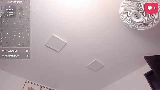 SaraWagner_ webcam