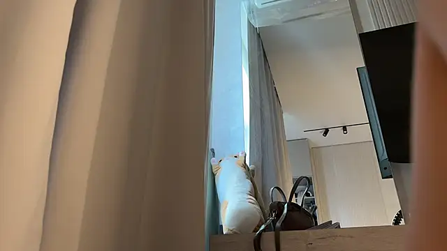 iamyuki webcam