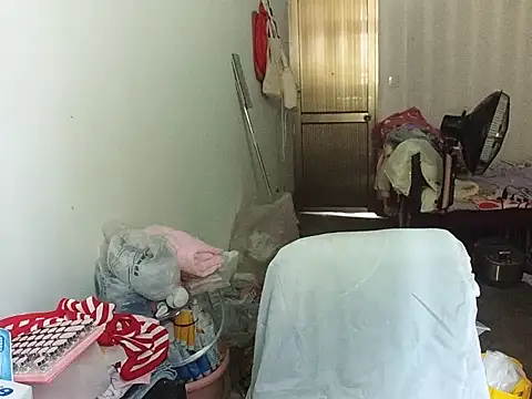RebelAura webcam