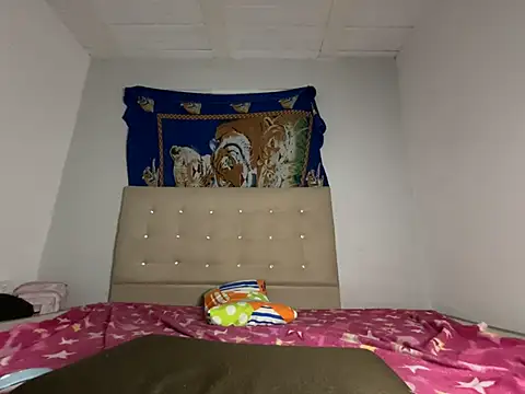 VenusNight_ webcam
