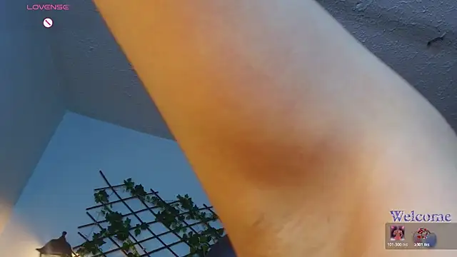 Lubnna webcam
