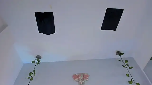 Abby_Snow_ webcam