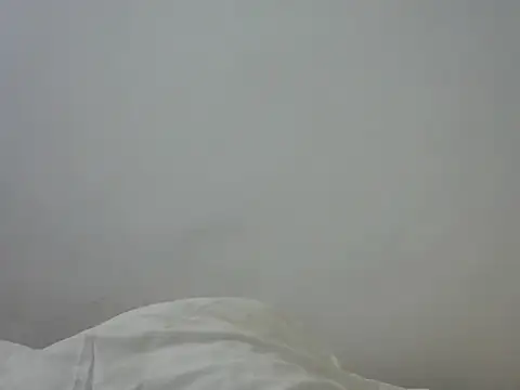 Sexyappy webcam