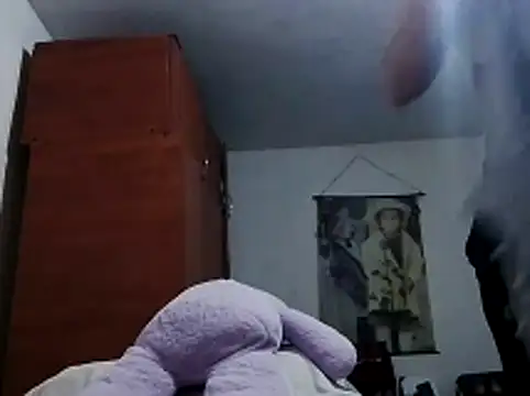 tefutbin3 webcam
