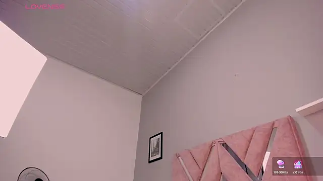 nova_silk webcam
