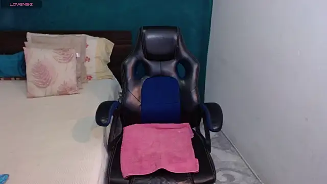 scaelettdubois webcam