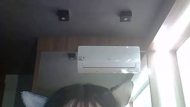 SkinnyKitten webcam