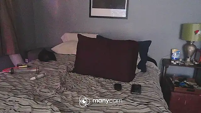 NWBuilt webcam