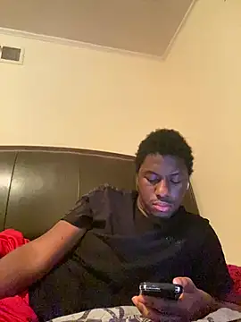 ThickDic28 webcam