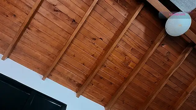 SilvaBranko webcam