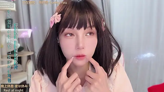 hi-AnAn webcam