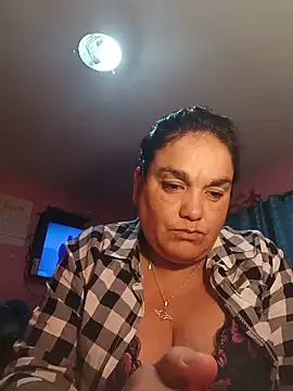 verito40 webcam