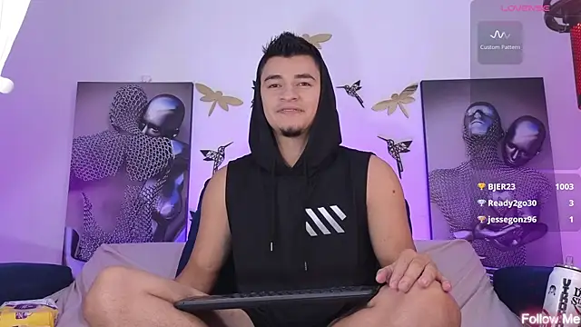 VikoHands webcam