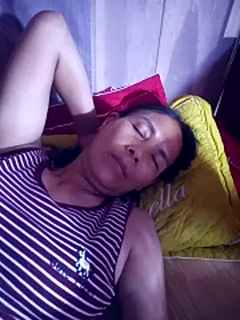 toyo_668 webcam