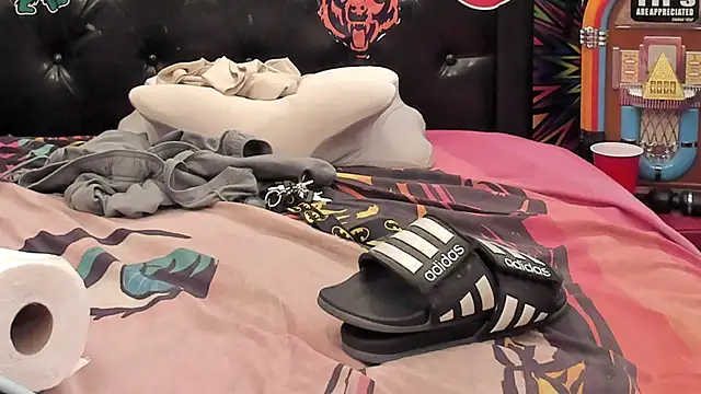 BIG_FAT_BEAR webcam