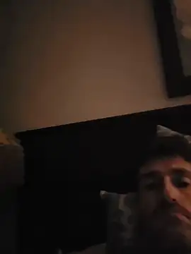 dash420000 webcam