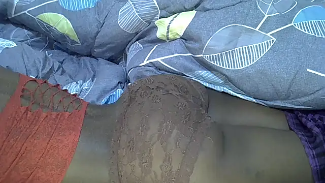 lam1523 webcam