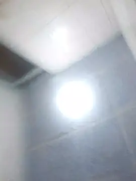 Alcon347 webcam