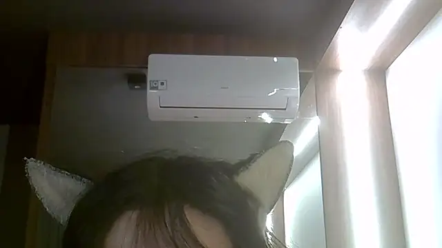SkinnyKitten webcam