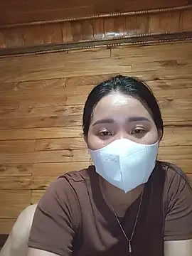 Td3di webcam