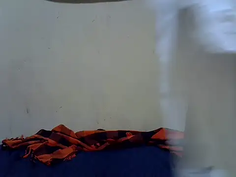 Laree_booby webcam