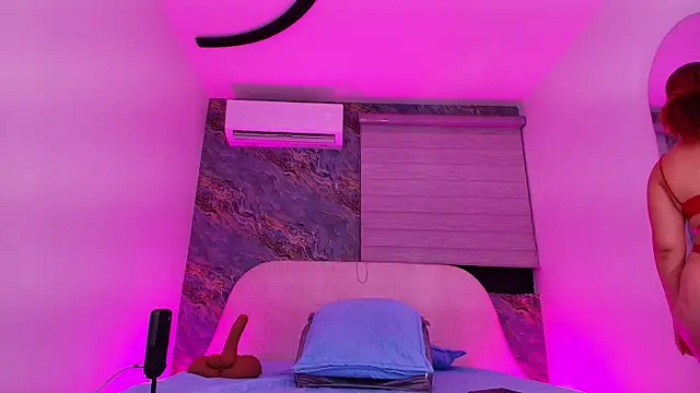 sw_ariel webcam