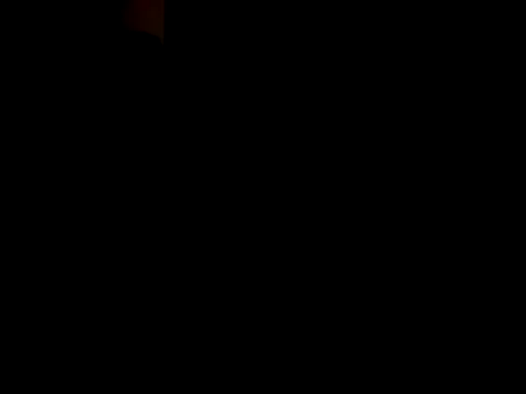 Blkstylion webcam