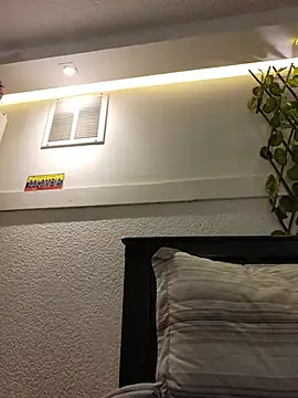 Lau1127 webcam