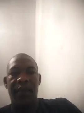 zuludog webcam