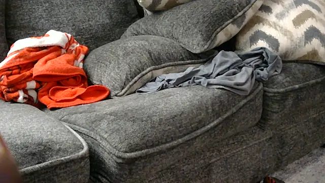 Tricky-Dicky webcam