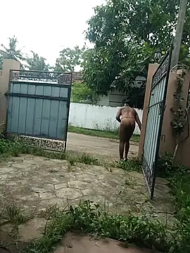SL_BEAR webcam