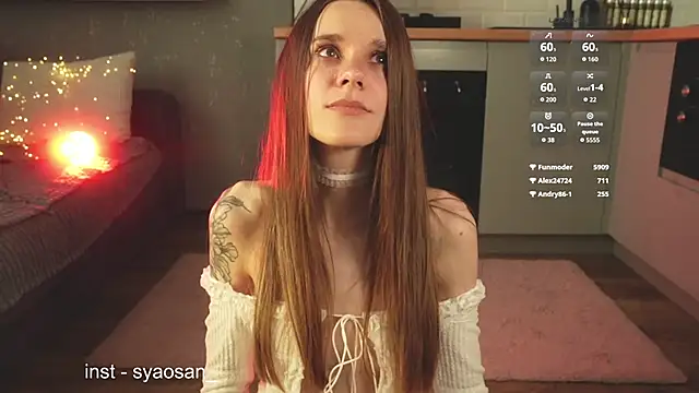 Arlitik webcam